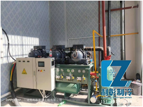 湘西國家農(nóng)業(yè)園氣調保鮮庫(4)